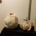 DSCN0866