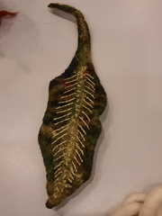 20230310 203829 resized