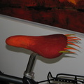 img 9677