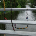 rimg0289