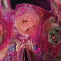 2019-03-09 12.47.35