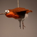 20240111-DSC 0088