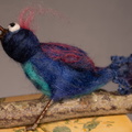 20240111-DSC 0060