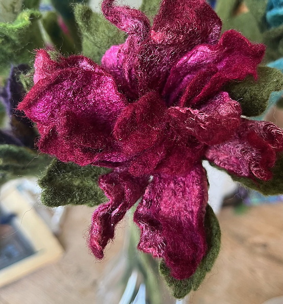 Aase Nielsen IMG_3071 (8) (1).jpg